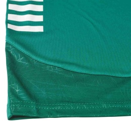 Spodenki piłkarskie SPAIN v25 zielone