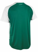 Koszulka Piłkarska Select Pisa X zielono biała